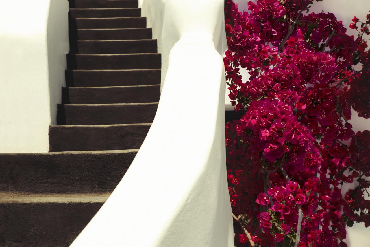 Chelidonia Luxury Suites Oia  Exterior foto